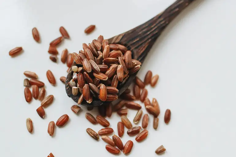 Ekstrakt crvenog pirinča