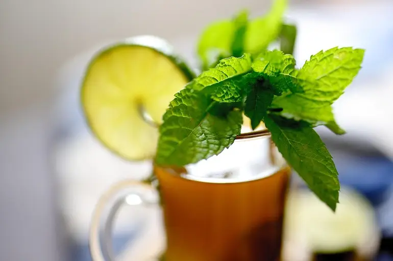 čaj od nane priprema